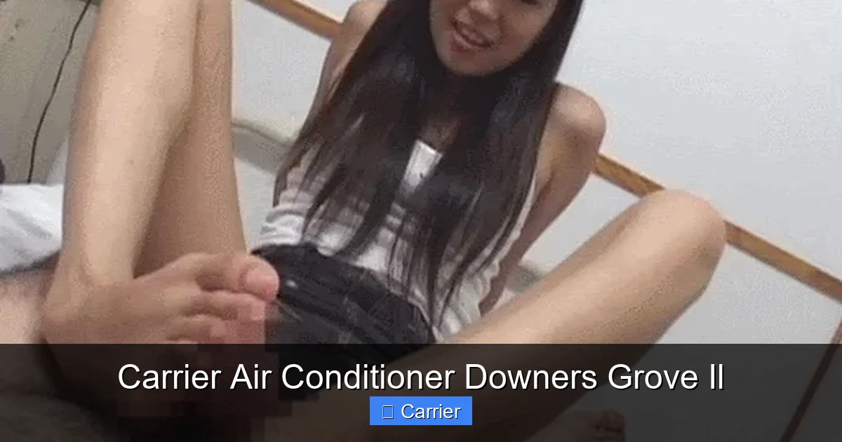 Carrier Air Conditioner Downers Grove Il