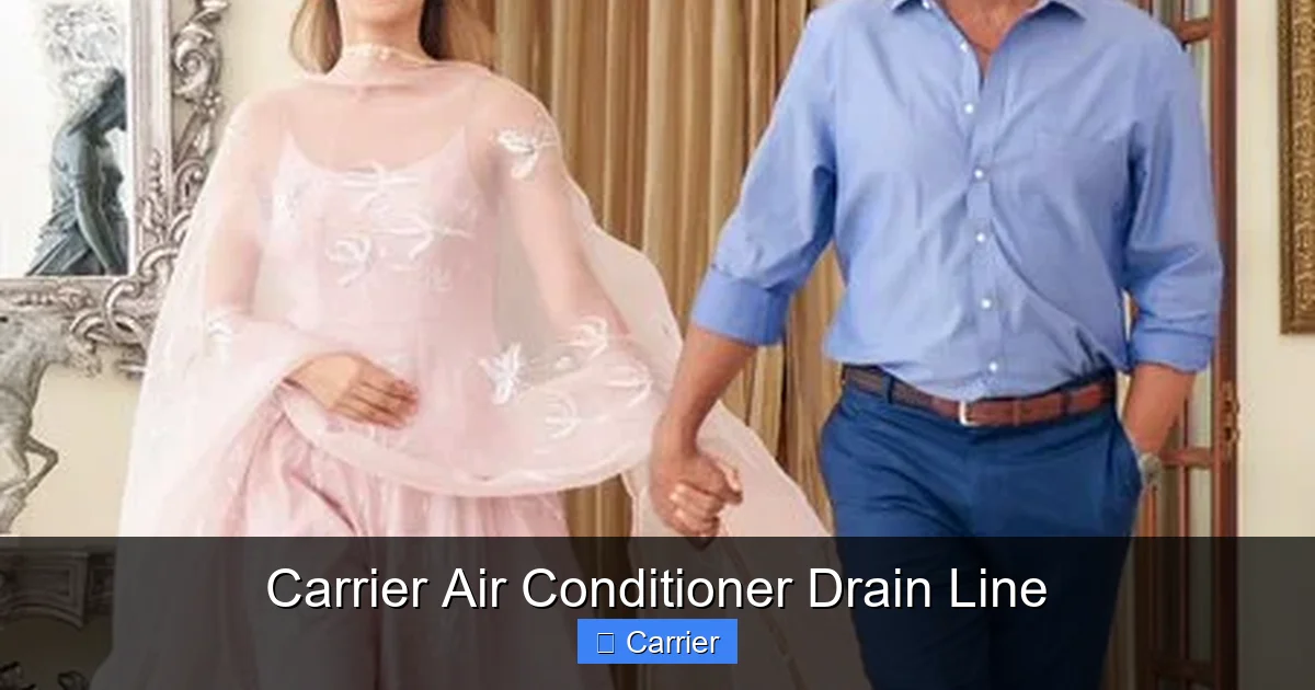 Carrier Air Conditioner Drain Line