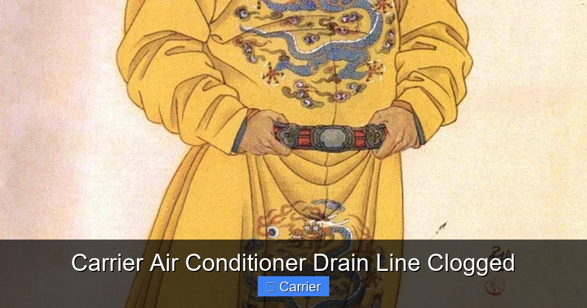 Carrier Air Conditioner Drain Line Clogged