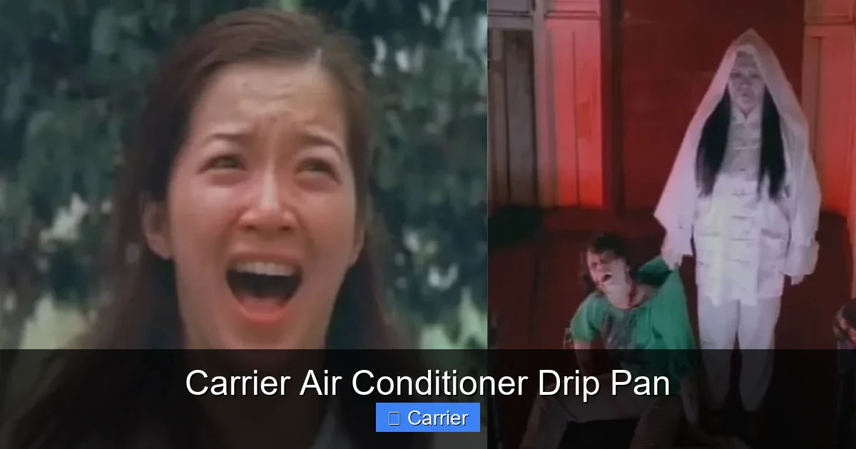 Carrier Air Conditioner Drip Pan