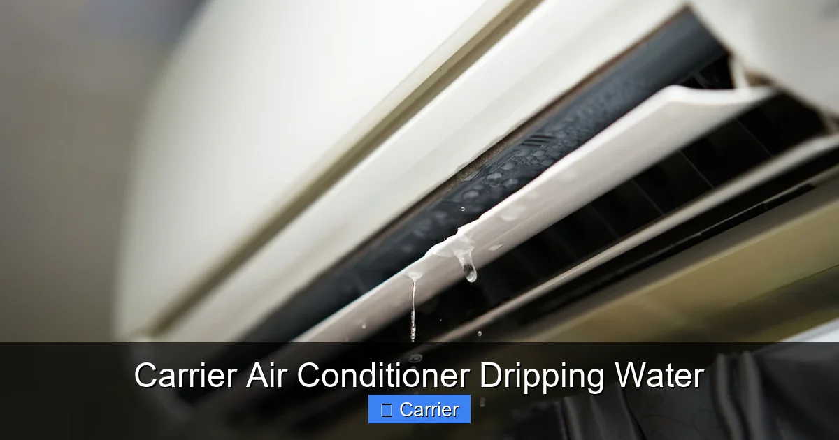 Carrier Air Conditioner Dripping Water