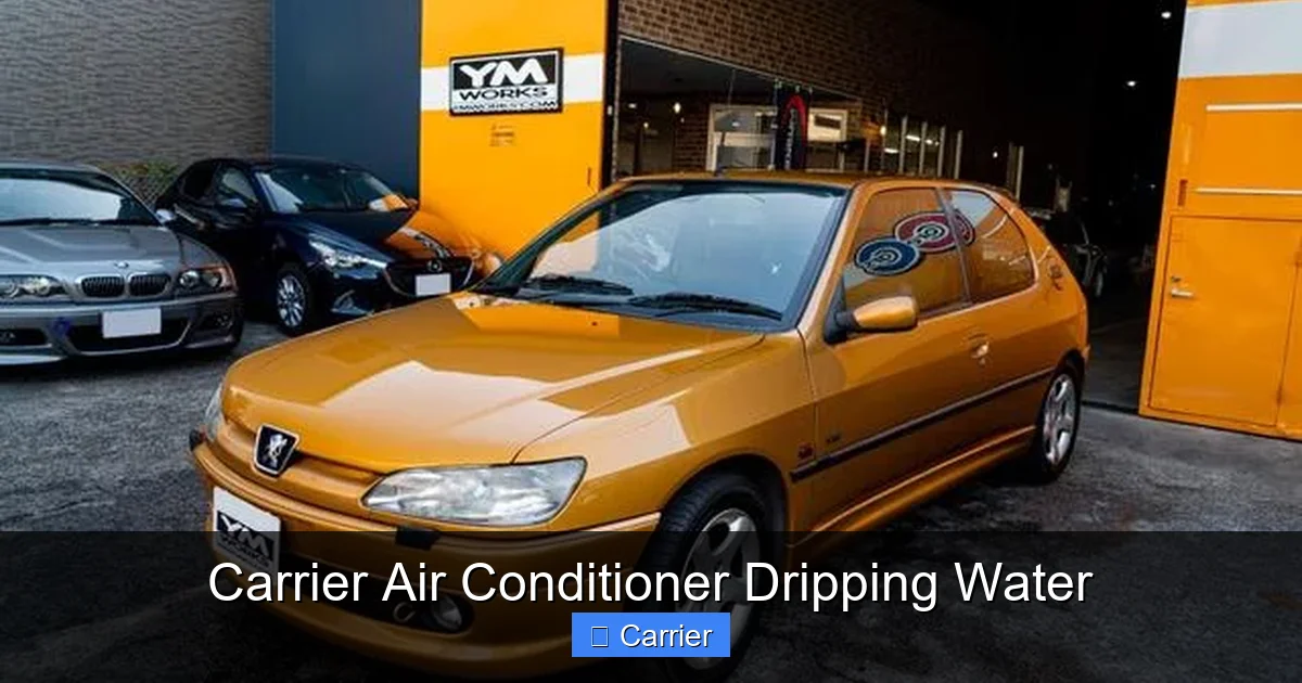 Carrier Air Conditioner Dripping Water