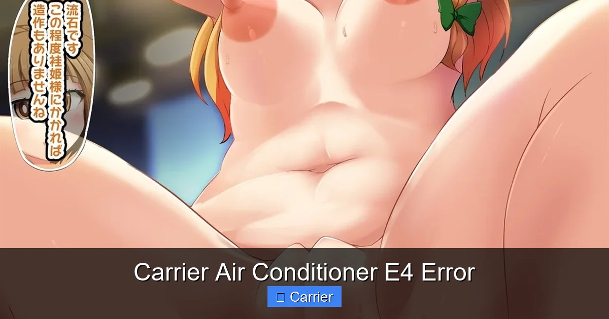 Carrier Air Conditioner E4 Error
