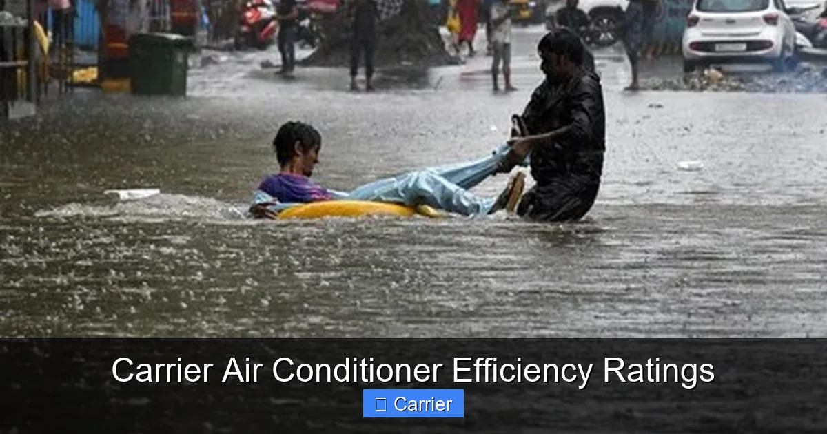 Carrier Air Conditioner Efficiency Ratings