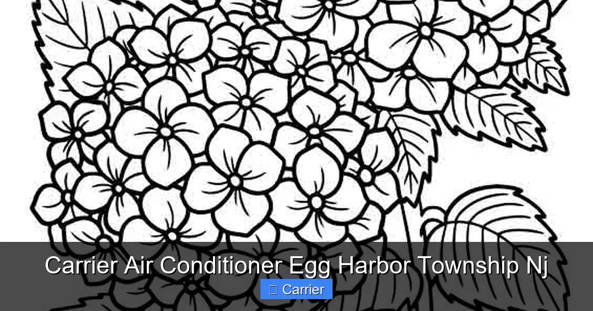 Carrier Air Conditioner Egg Harbor Township Nj