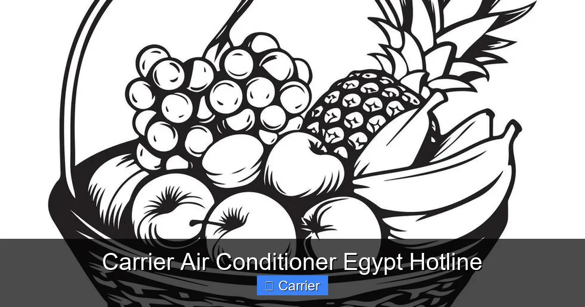 Carrier Air Conditioner Egypt Hotline