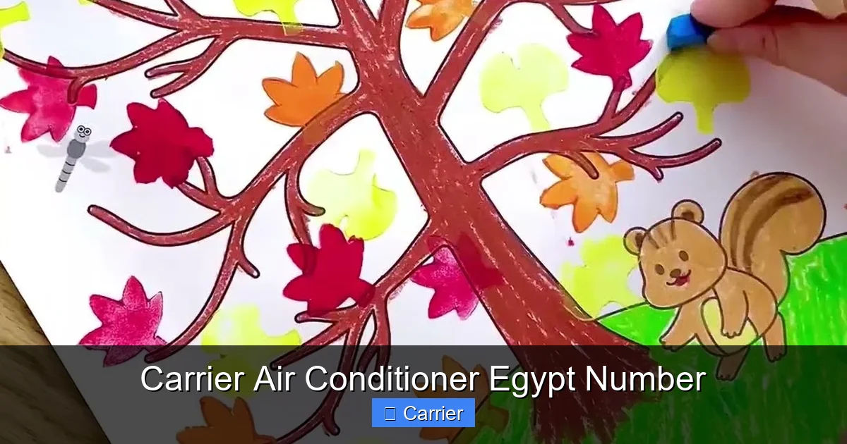 Carrier Air Conditioner Egypt Number
