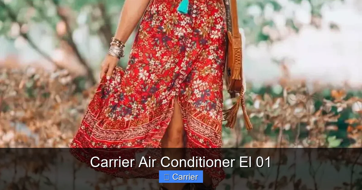 Carrier Air Conditioner El 01