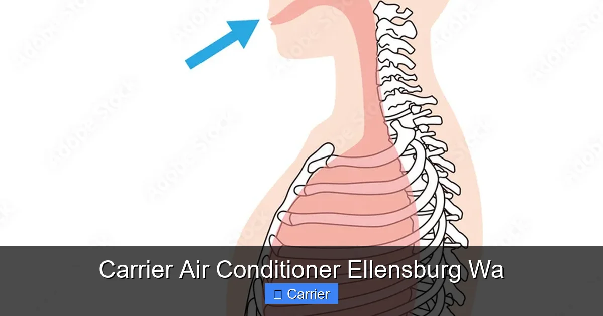 Carrier Air Conditioner Ellensburg Wa