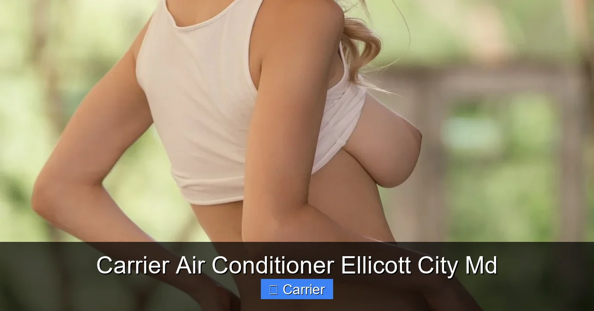 Carrier Air Conditioner Ellicott City Md