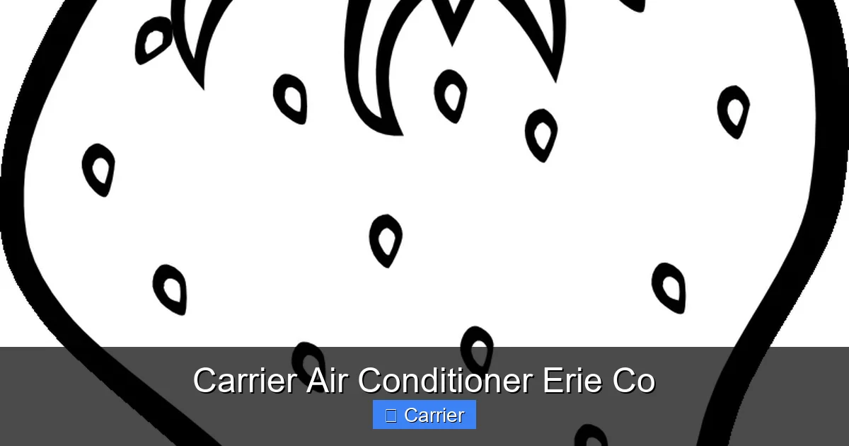 Carrier Air Conditioner Erie Co
