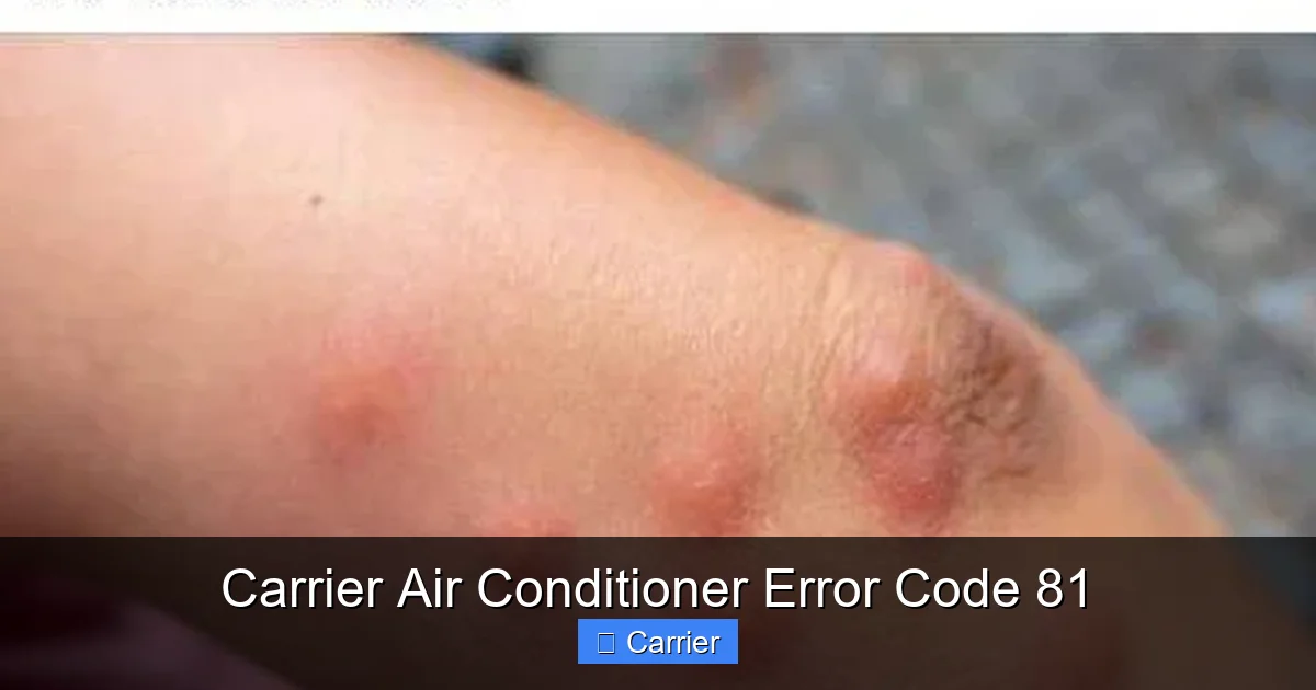 Carrier Air Conditioner Error Code 81