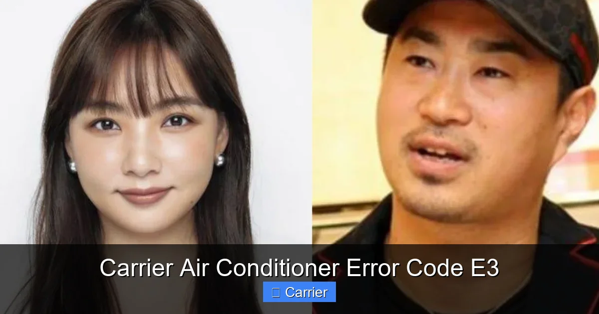 Carrier Air Conditioner Error Code E3