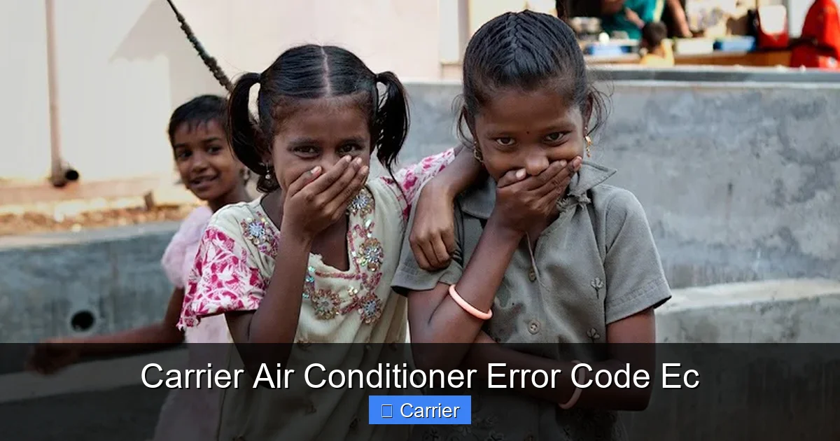 Carrier Air Conditioner Error Code Ec
