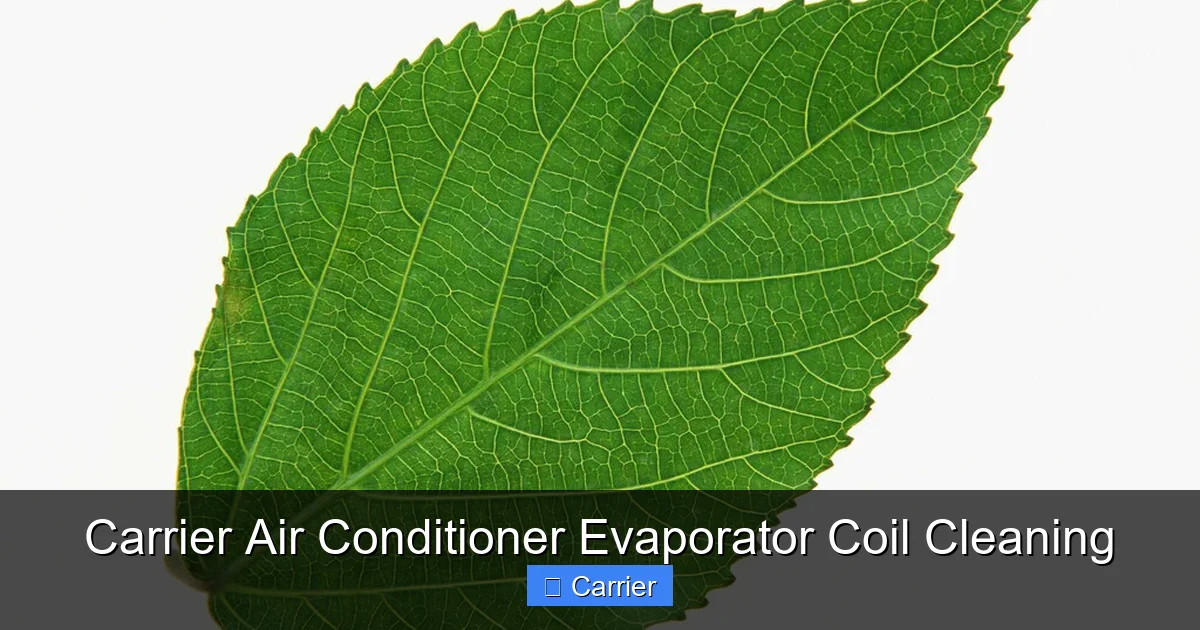 Carrier Air Conditioner Evaporator Coil Cleaning