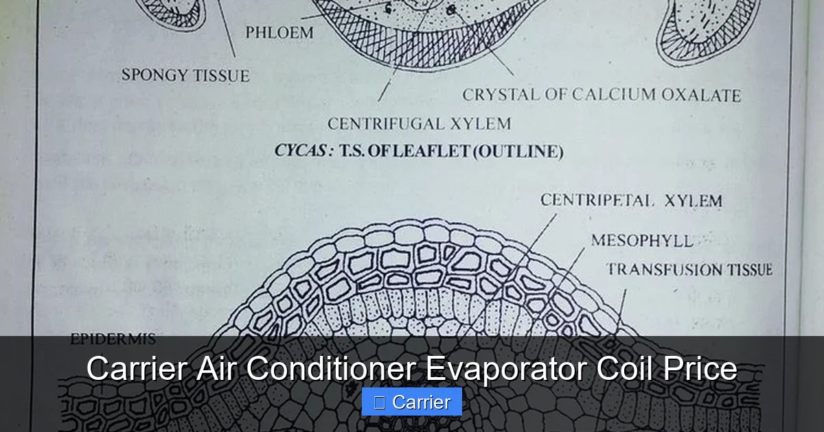 Carrier Air Conditioner Evaporator Coil Price