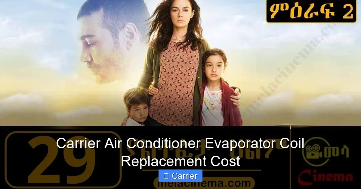 Carrier Air Conditioner Evaporator Coil Replacement Cost