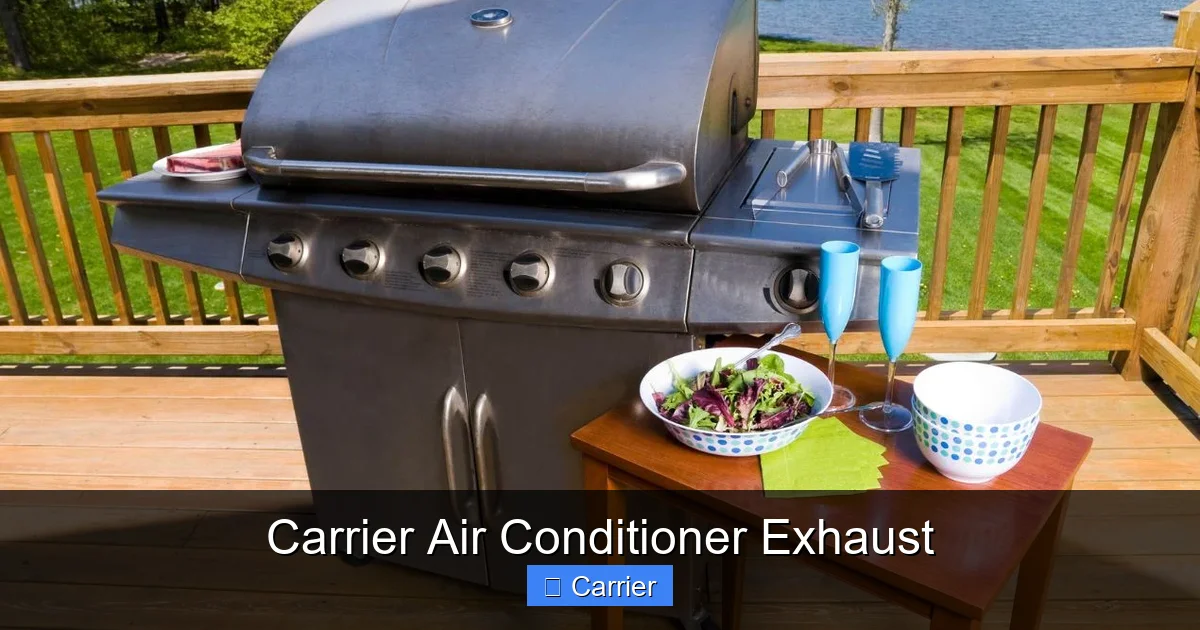 Carrier Air Conditioner Exhaust