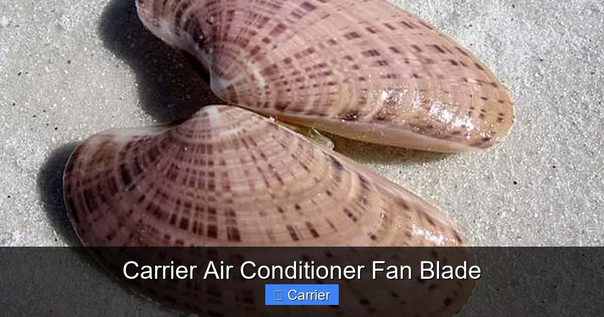 Carrier Air Conditioner Fan Blade