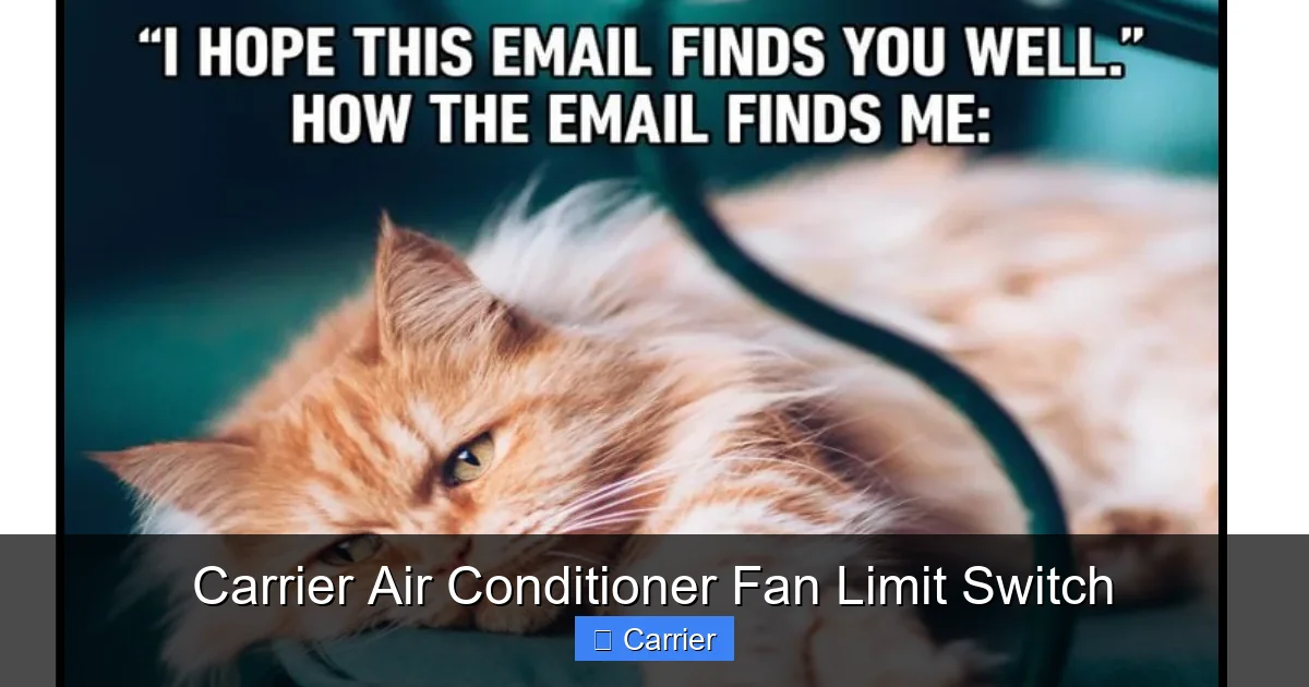 Carrier Air Conditioner Fan Limit Switch