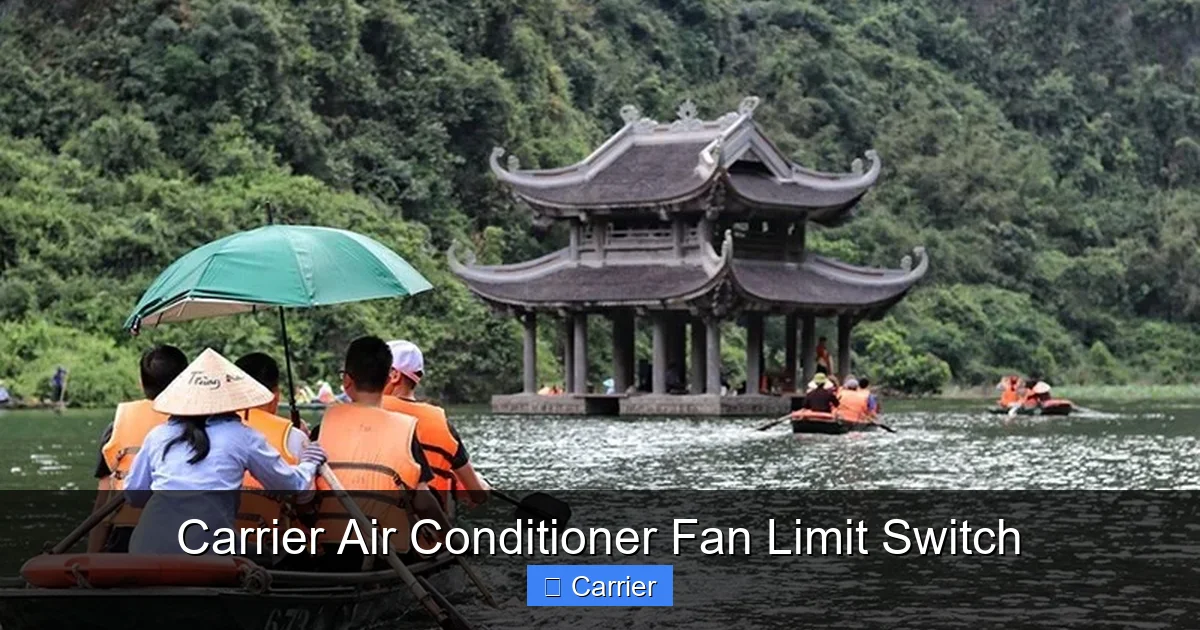 Carrier Air Conditioner Fan Limit Switch
