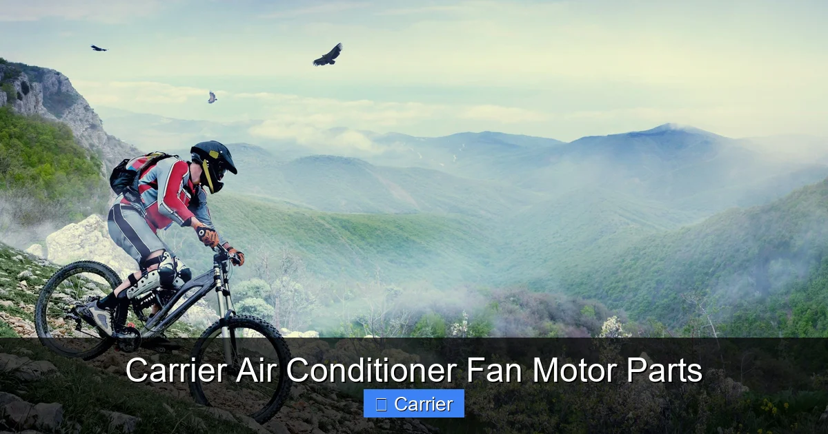 Carrier Air Conditioner Fan Motor Parts