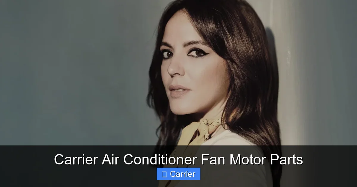 Carrier Air Conditioner Fan Motor Parts