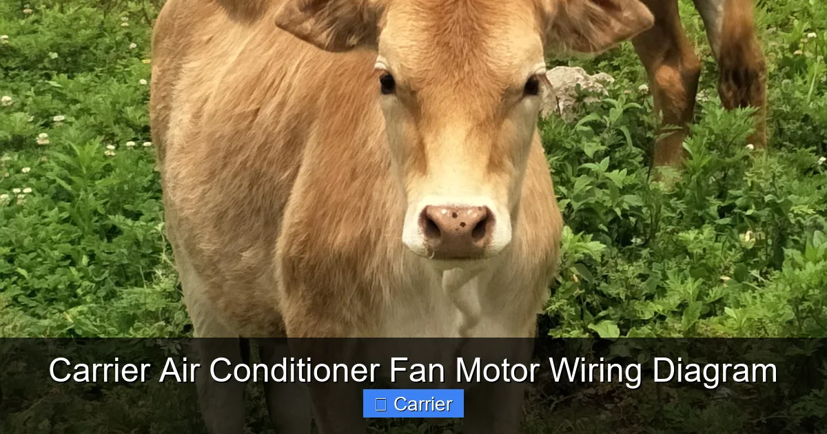 Carrier Air Conditioner Fan Motor Wiring Diagram