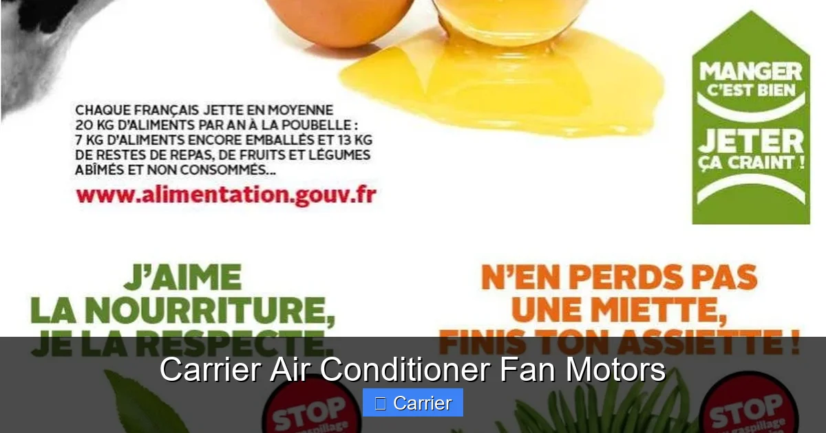 Carrier Air Conditioner Fan Motors