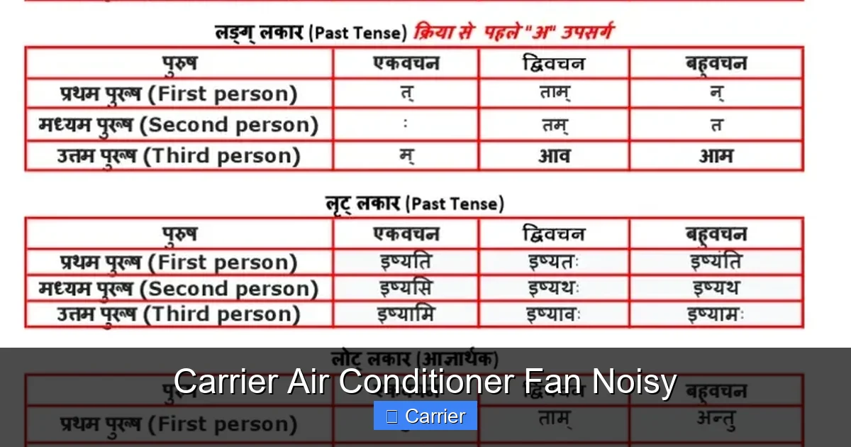 Carrier Air Conditioner Fan Noisy
