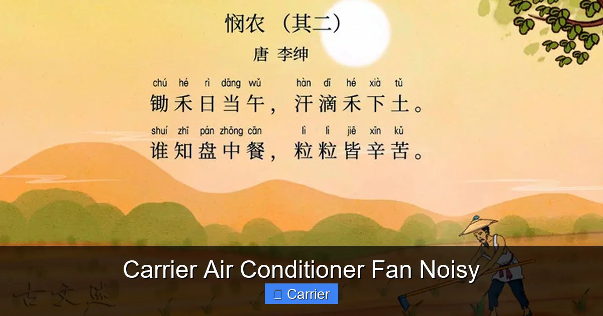 Carrier Air Conditioner Fan Noisy