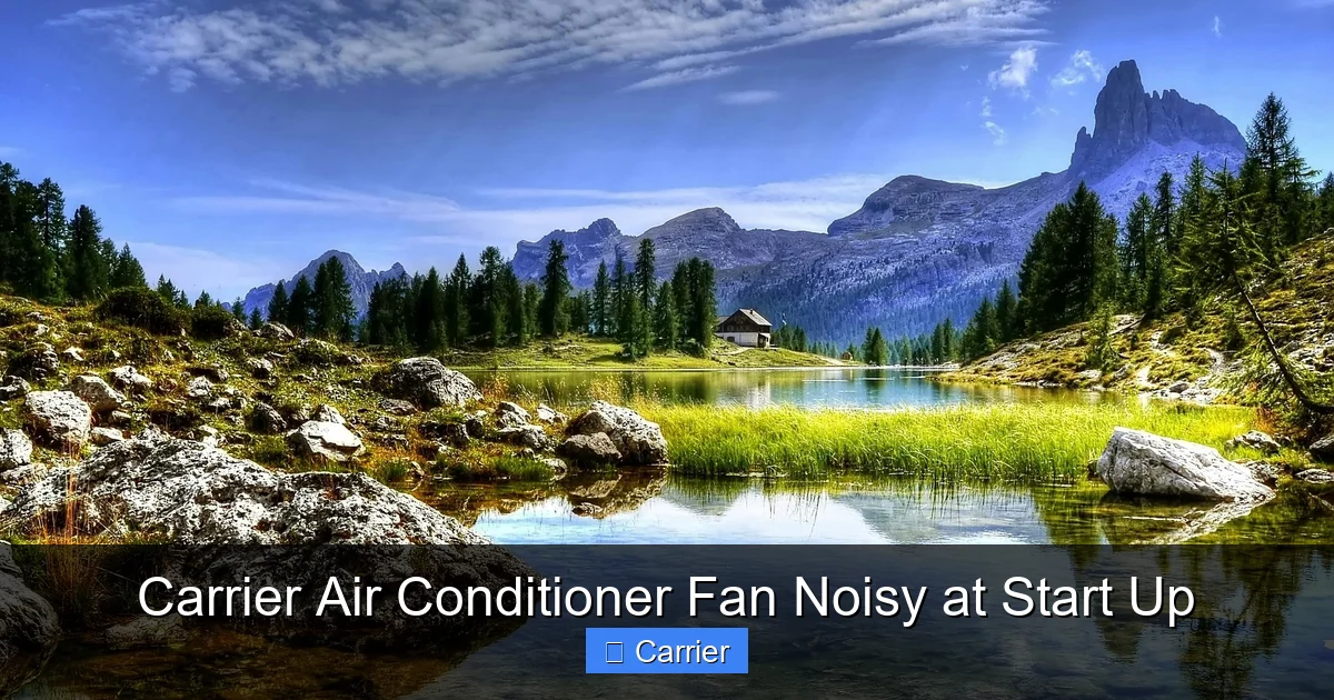 Carrier Air Conditioner Fan Noisy at Start Up