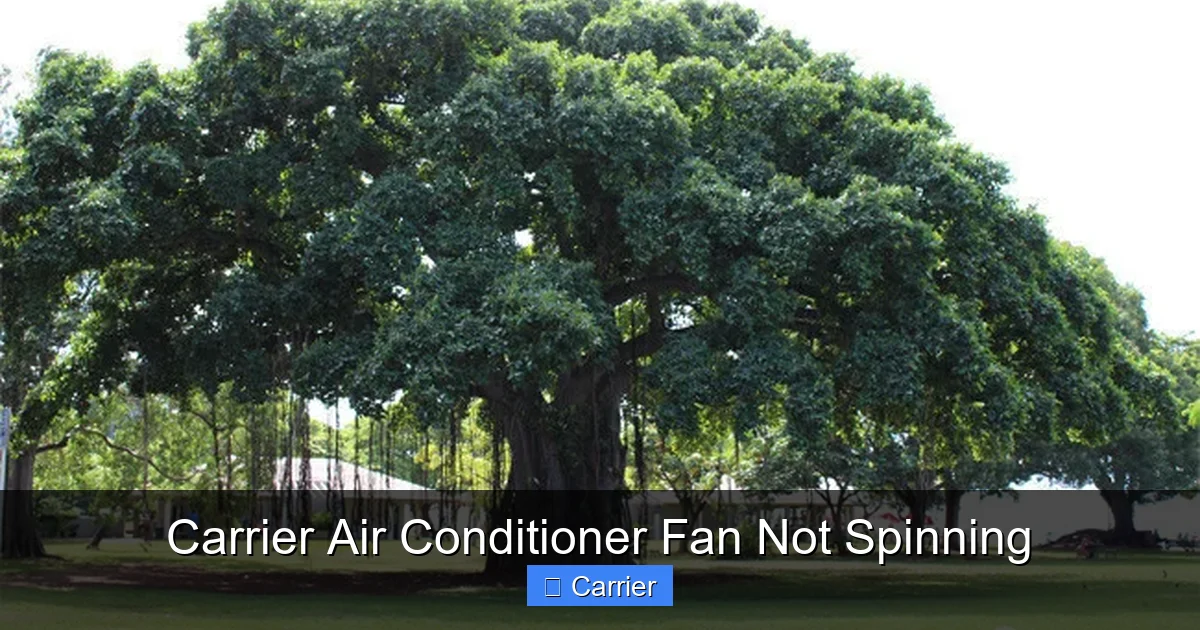 Carrier Air Conditioner Fan Not Spinning