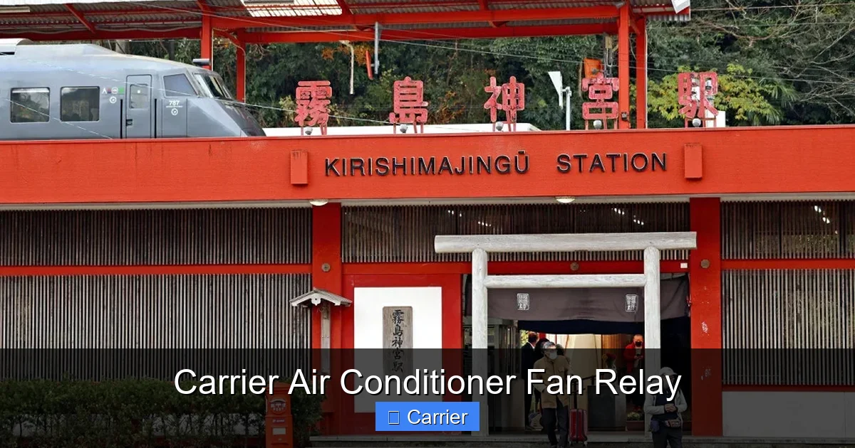 Carrier Air Conditioner Fan Relay