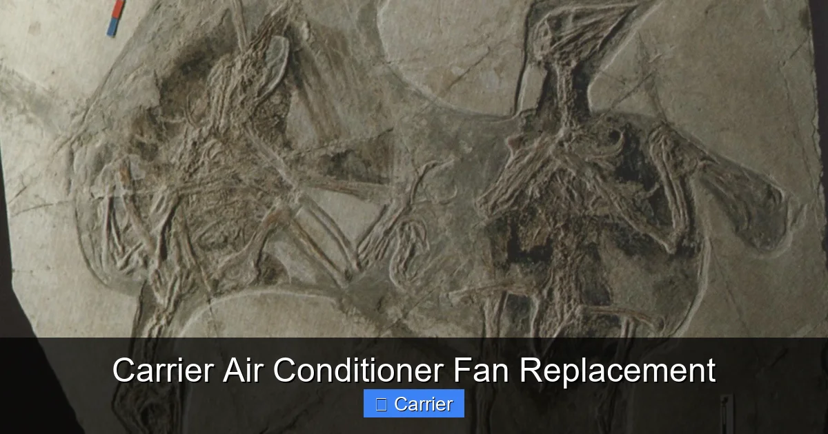 Carrier Air Conditioner Fan Replacement