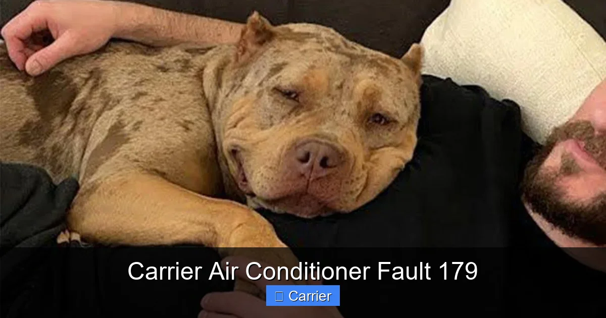 Carrier Air Conditioner Fault 179
