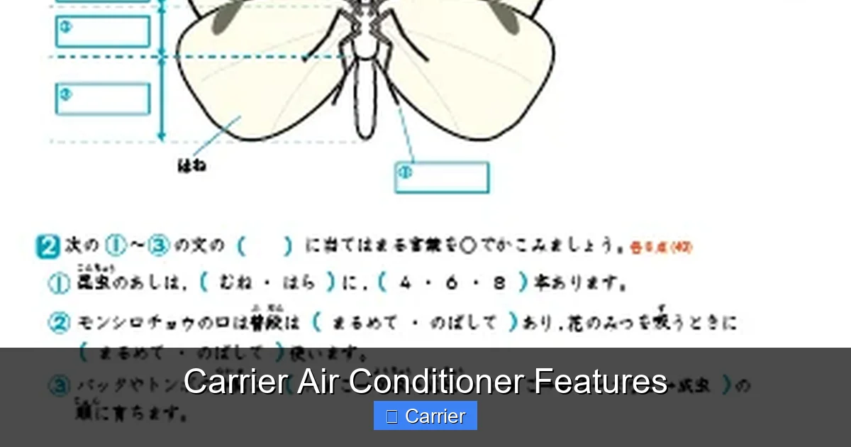 Carrier Air Conditioner Features