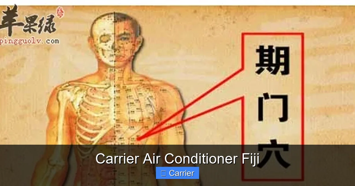 Carrier Air Conditioner Fiji