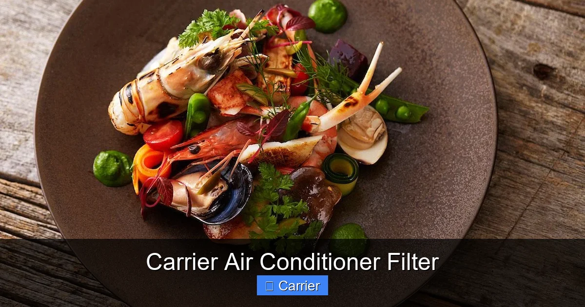 Carrier Air Conditioner Filter