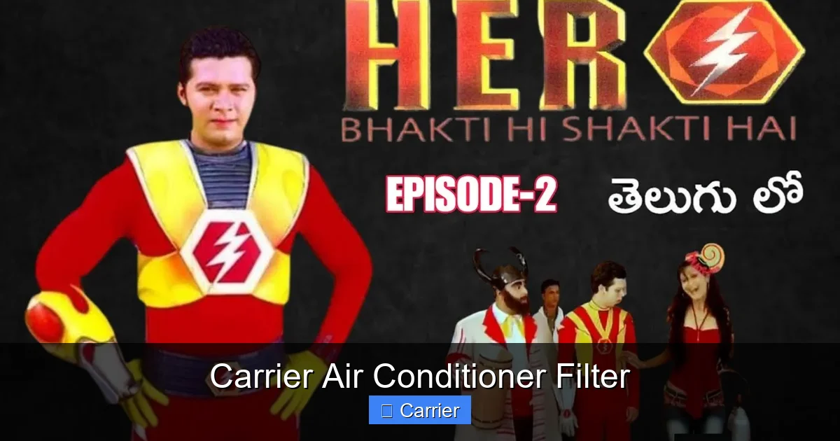 Carrier Air Conditioner Filter