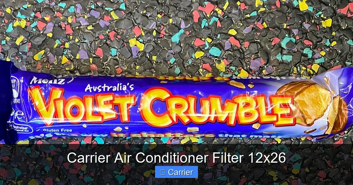 Carrier Air Conditioner Filter 12x26