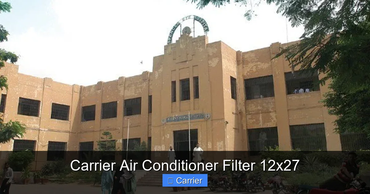 Carrier Air Conditioner Filter 12x27