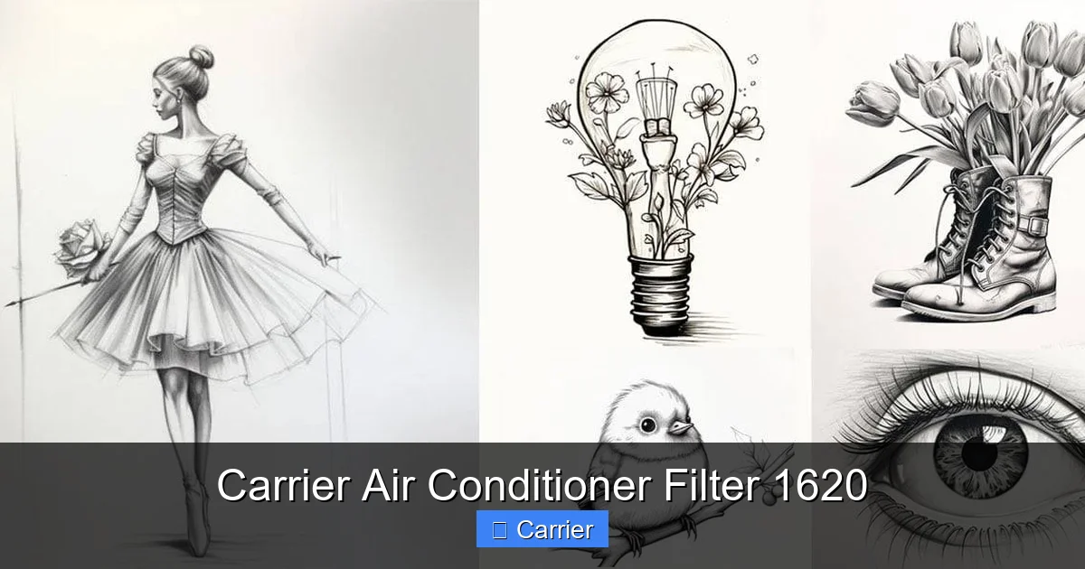 Carrier Air Conditioner Filter 1620