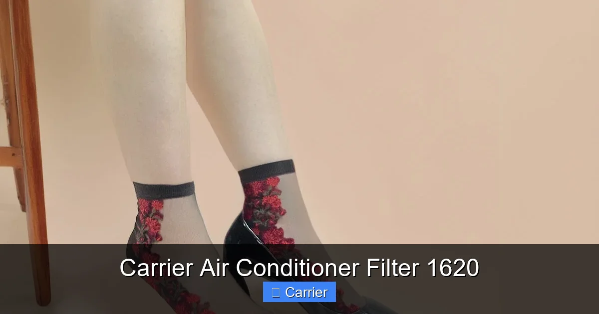 Carrier Air Conditioner Filter 1620