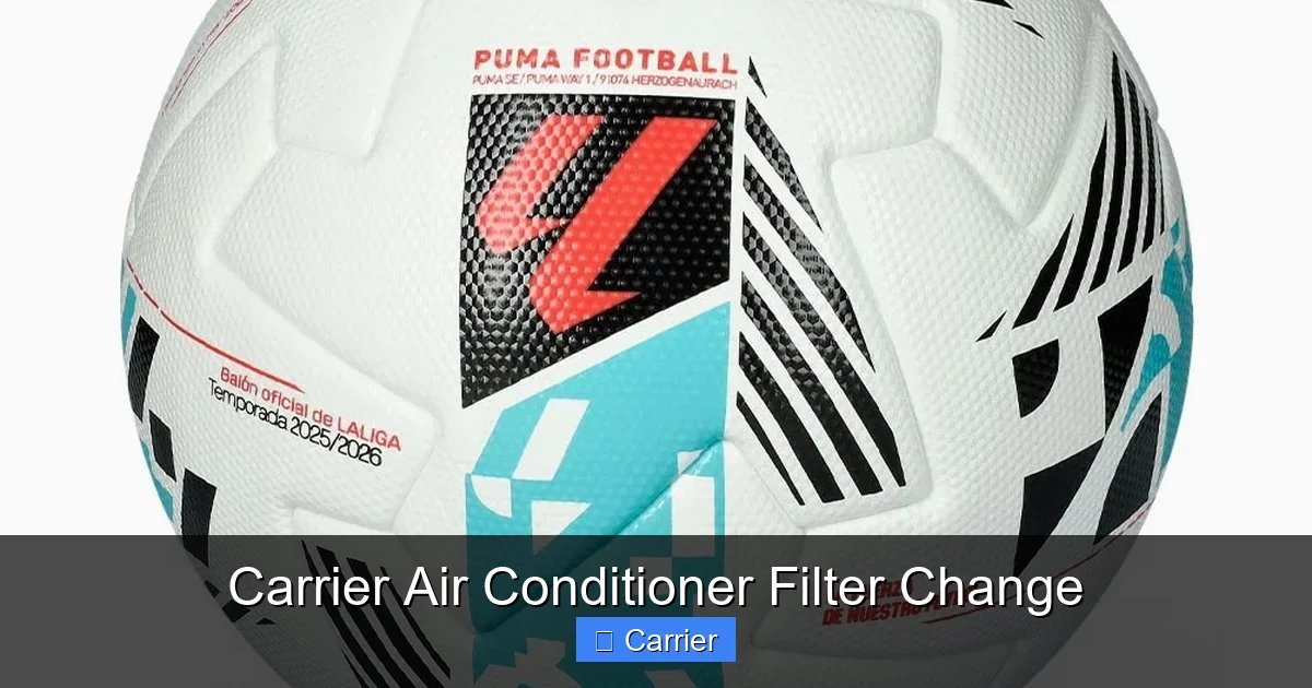 Carrier Air Conditioner Filter Change