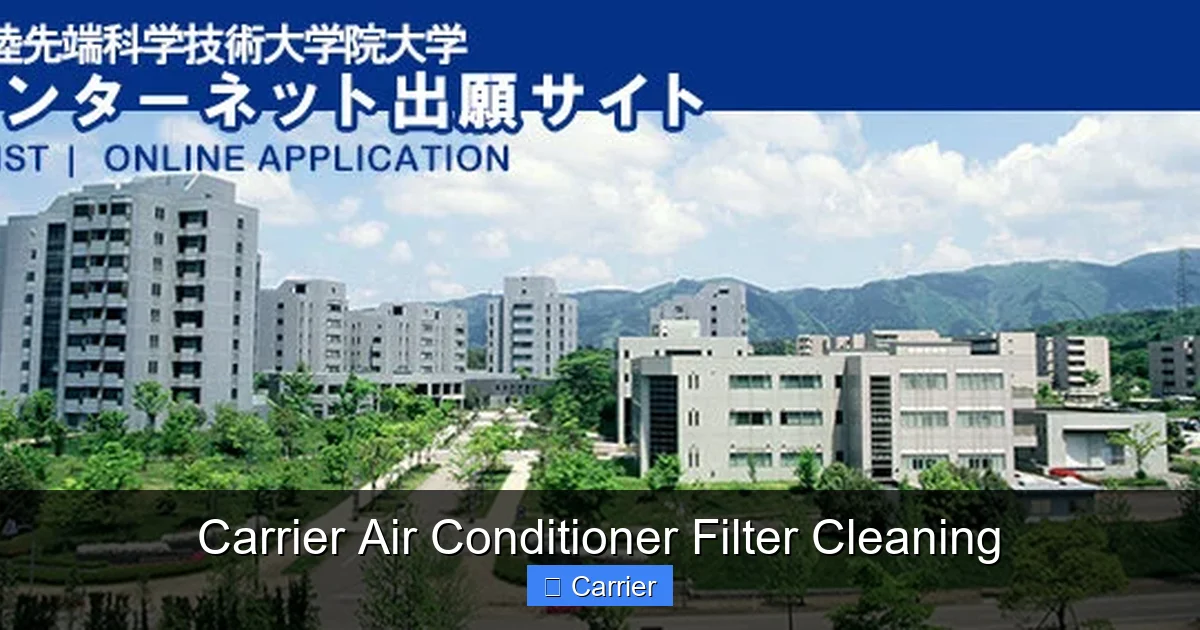 Carrier Air Conditioner Filter Cleaning