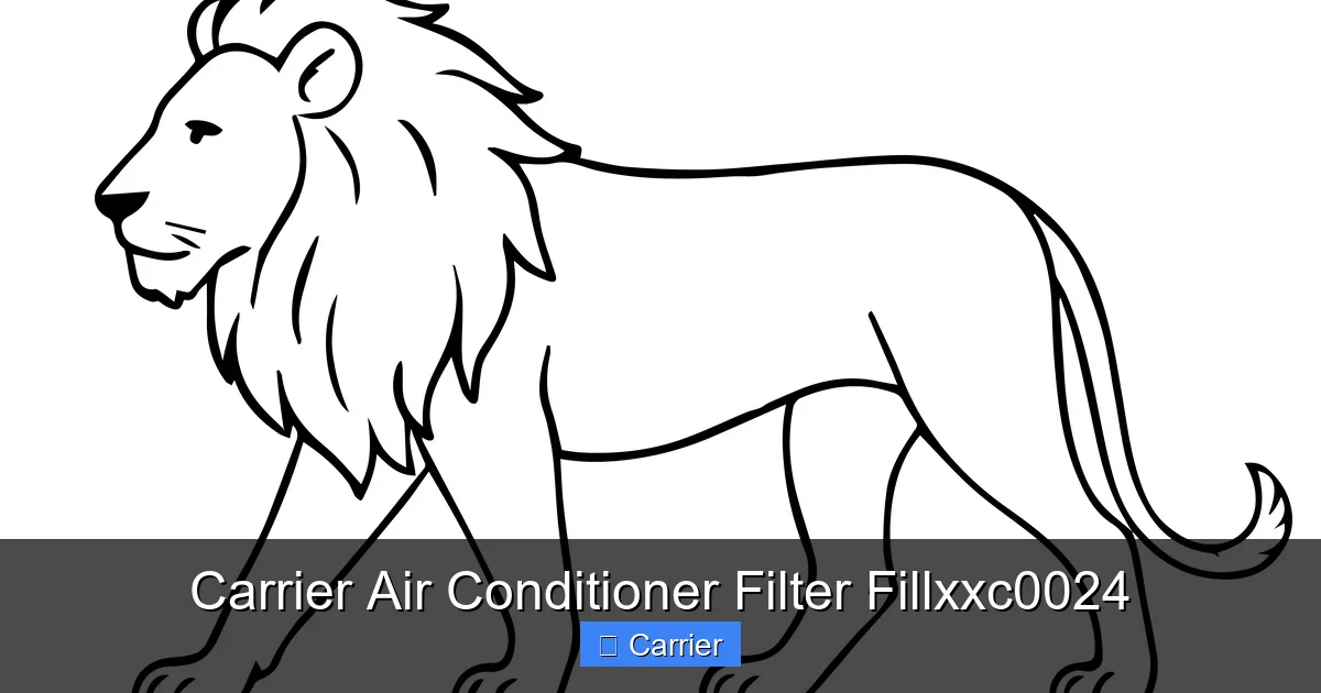 Carrier Air Conditioner Filter Fillxxc0024