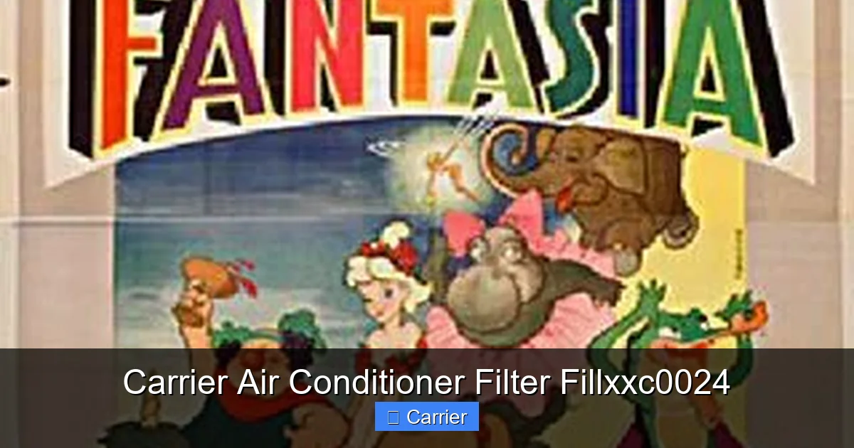 Carrier Air Conditioner Filter Fillxxc0024