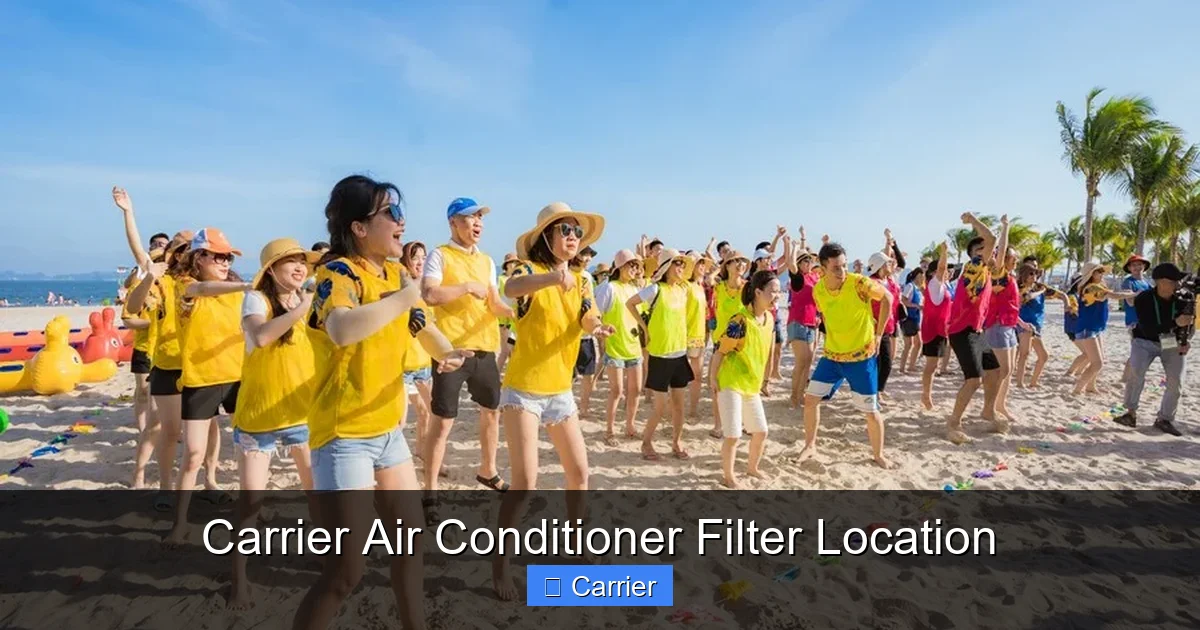 Carrier Air Conditioner Filter Location