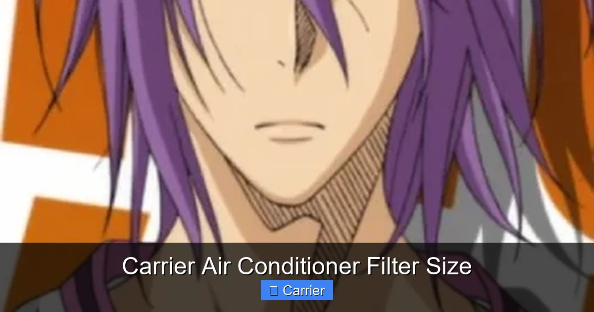Carrier Air Conditioner Filter Size
